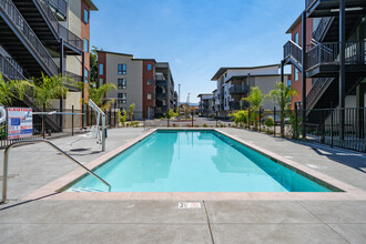 Bella Creek Apartments in Rohnert Park, CA - Building Photo - Building Photo