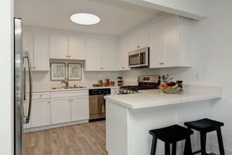 439 W Stocker Luxury Living in Glendale, CA - Building Photo - Building Photo