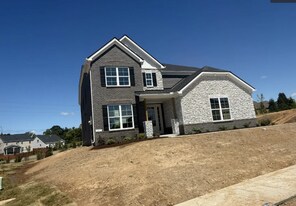 107 Brookcliff Dr in Mount Juliet, TN - Building Photo