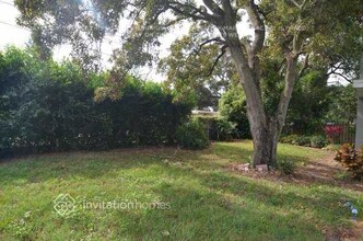 955 Grovewood Dr in Dunedin, FL - Building Photo - Building Photo