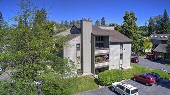 270 Bridge St in Bigfork, MT - Building Photo