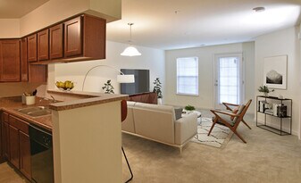 Irene Woods Apartments in Collierville, TN - Building Photo