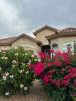 10433 W Carlota Ln in Peoria, AZ - Building Photo