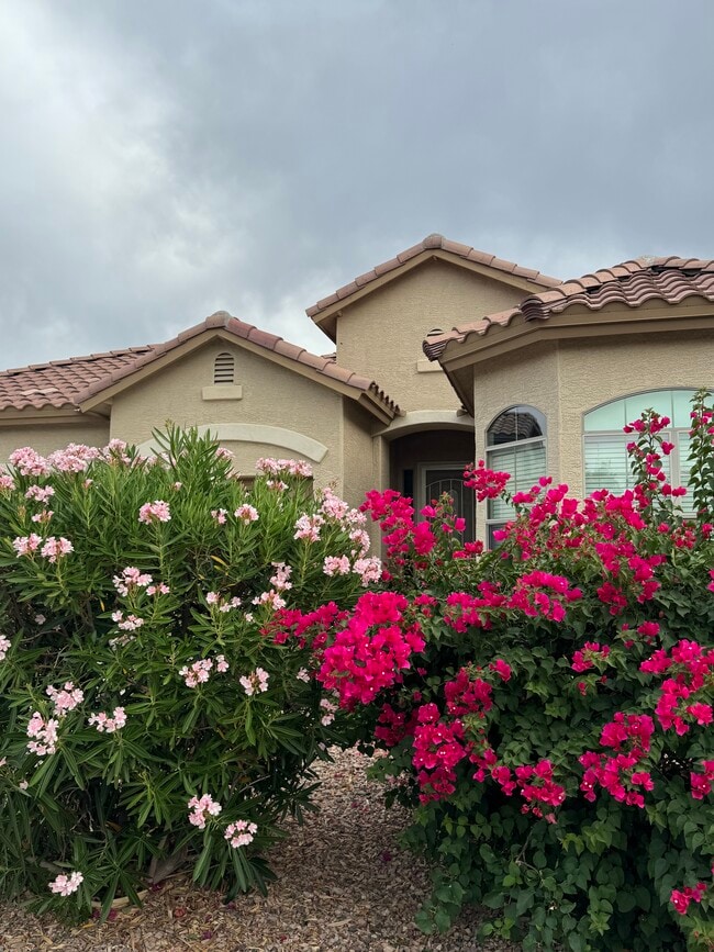 property at 10433 W Carlota Ln