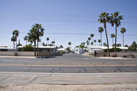 Patio Gardens MHP in Mesa, AZ - Foto de edificio - Building Photo