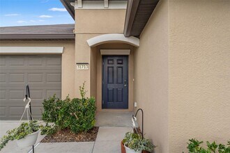 31713 Sun Kettle Lp in Zephyrhills, FL - Building Photo - Building Photo