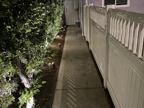 6546 Bobbyboyar Ave in Los Angeles, CA - Building Photo - Building Photo