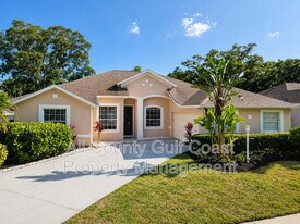11318 Pine Lilly Pl in Lakewood Ranch, FL - Building Photo