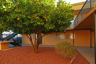 Tierra Sol in Tucson, AZ - Building Photo - Building Photo