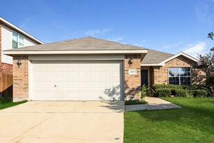 2033 Pine Knot Dr in Forney, TX - Building Photo