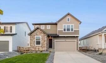 920 Steppe Ln in Windsor, CO - Building Photo