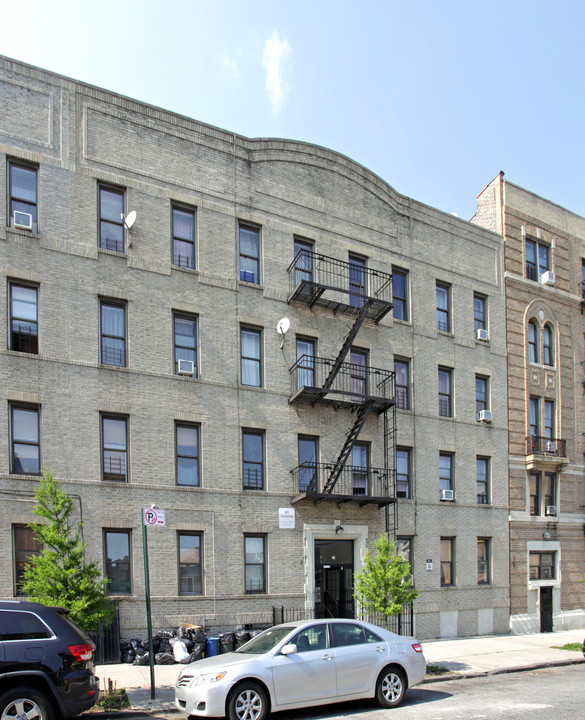 29 Putnam Ave in Brooklyn, NY - Building Photo