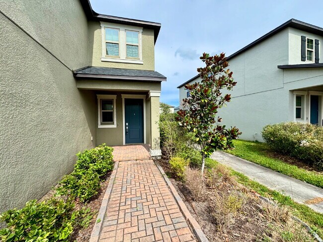 4263 Cadence Loop in Land O Lakes, FL - Building Photo - Building Photo