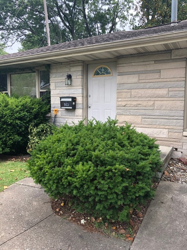 property at 903 S Henderson St