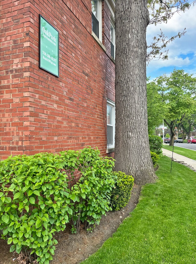 527-533 Des Plaines Ave. and 7624-7626 Wilcox in Forest Park, IL - Building Photo - Building Photo