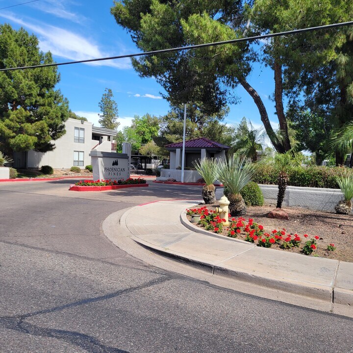 3420 West Danbury Drive in Phoenix, AZ - Building Photo