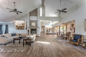 Cypress Trail Apartments in New Port Richey, FL - Building Photo - Building Photo