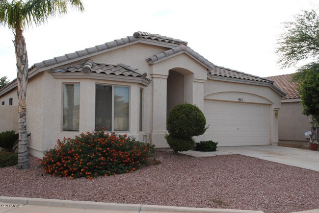 975 E Scott Ave in Gilbert, AZ - Building Photo - Building Photo