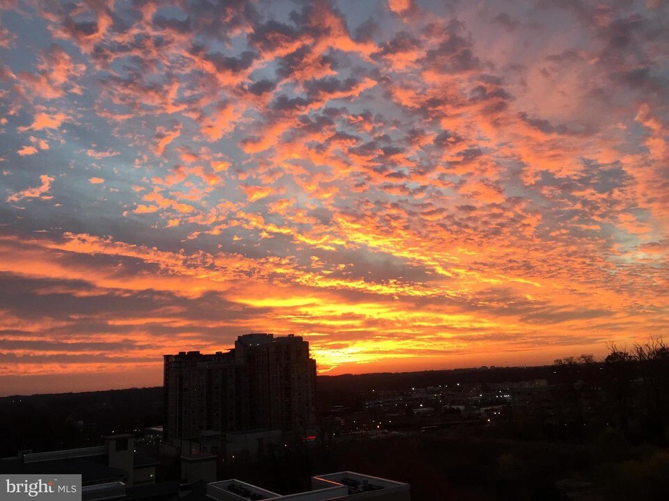 11710 Old Georgetown Rd-Unit -808 in Rockville, MD - Building Photo