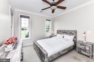 5501 Blue Vly Wy in Delaplane, VA - Building Photo