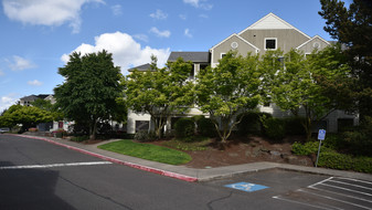 Stonehaven Apartments