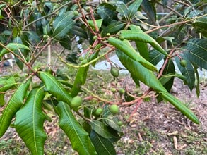 2714 Grove St in Sarasota, FL - Building Photo - Building Photo