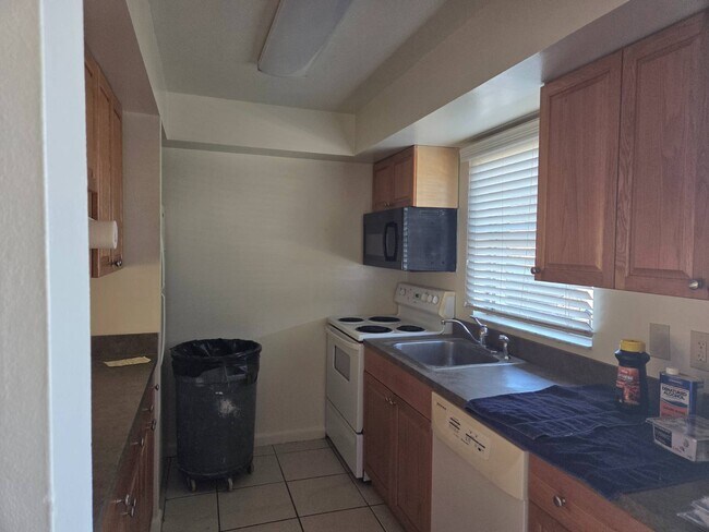 4609 Leucadendra Dr in Sebring, FL - Building Photo - Building Photo