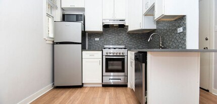 517 W Belmont Ave in Chicago, IL - Foto de edificio - Building Photo