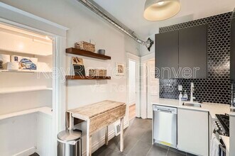 227 S Logan St in Denver, CO - Building Photo - Building Photo