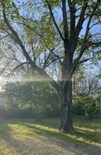 6334 Patton Ave in Nashville, TN - Building Photo - Building Photo