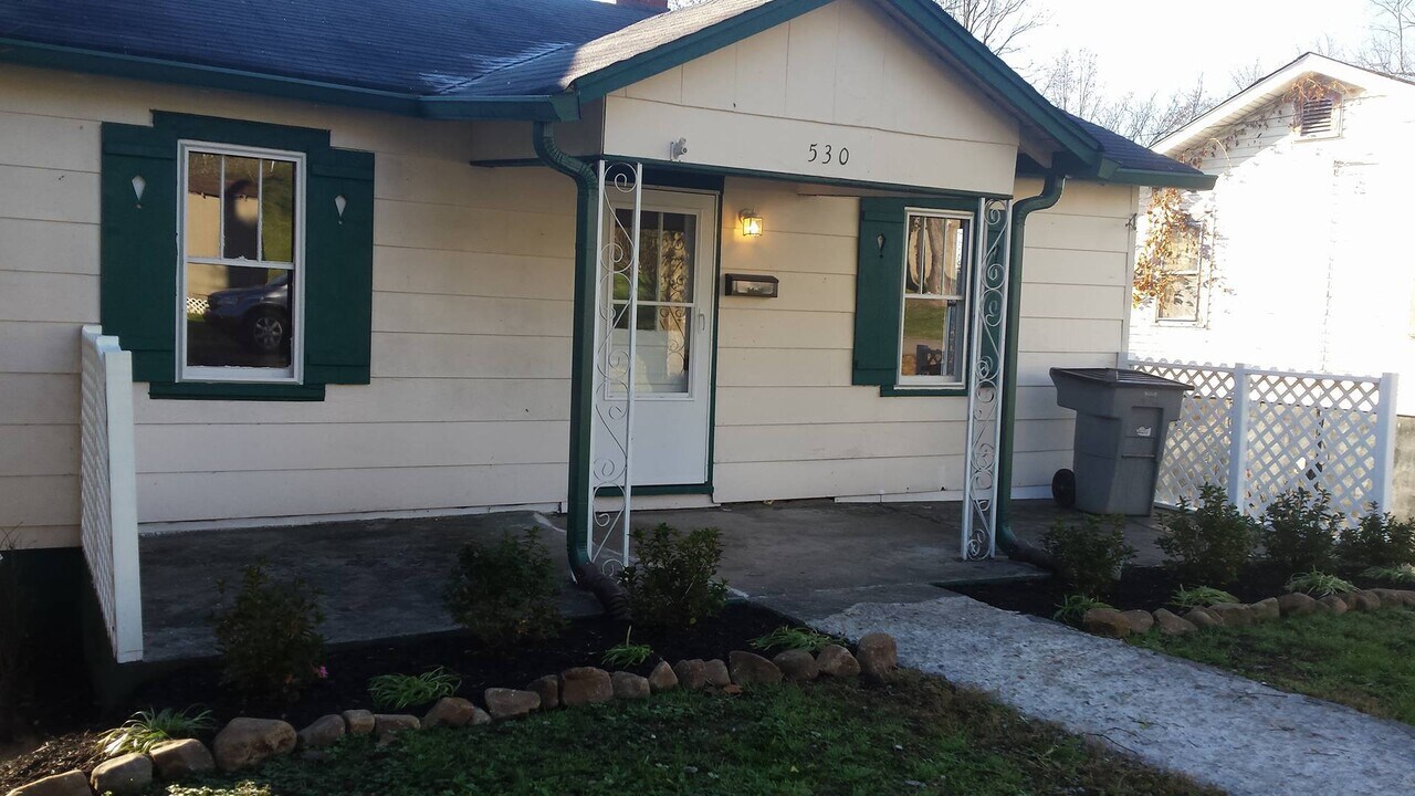 530 Lakeview St in Bristol, TN - Building Photo