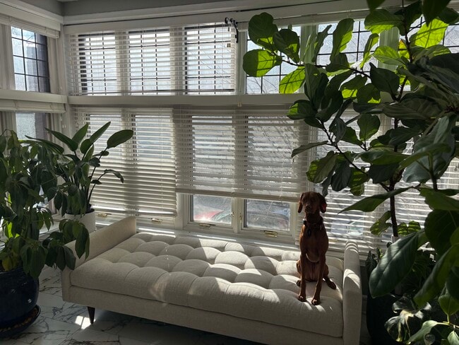 642 W Bittersweet Pl in Chicago, IL - Building Photo - Building Photo