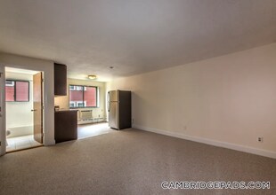 15 Chester St in Cambridge, MA - Building Photo - Building Photo