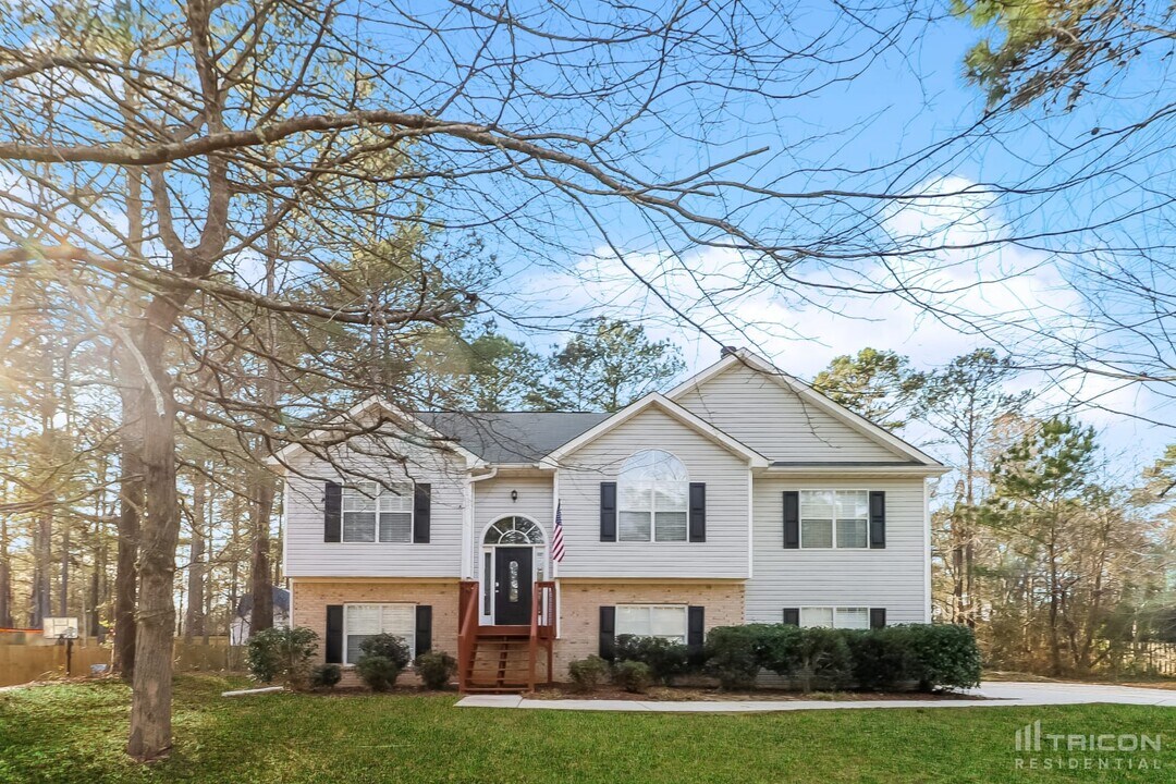 318 Dylan Way in Mcdonough, GA - Building Photo