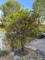 133 Biome in Irvine, CA - Building Photo
