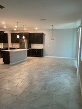 904 Carmillion Ct in Groveland, FL - Building Photo - Building Photo