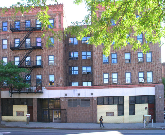 Trinity Apartments in Bronx, NY - Building Photo - Building Photo