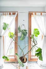 175 Liberty St, Unit 2 in Newburgh, NY - Foto de edificio - Building Photo