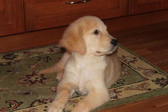 413 CENTRAL Ave-Unit -7-234 in Pawtucket, RI - Building Photo - Building Photo