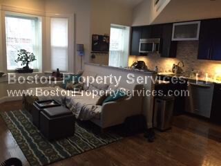 29 Worthington St, Unit 3 in Roxbury Crossing, MA - Foto de edificio - Building Photo