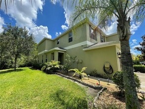 20233 Indian Rosewood Dr in Tampa, FL - Building Photo - Building Photo