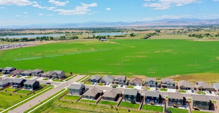 911 Camberly Dr in Windsor, CO - Building Photo - Building Photo