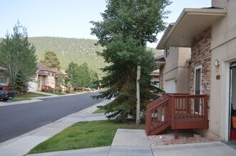 703 W Wood Trace in Woodland Park, CO - Building Photo - Building Photo