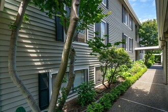 Houghton Court in Kirkland, WA - Foto de edificio - Building Photo