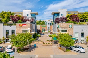 The Summit at Morgan Crossing in Surrey, BC - Building Photo