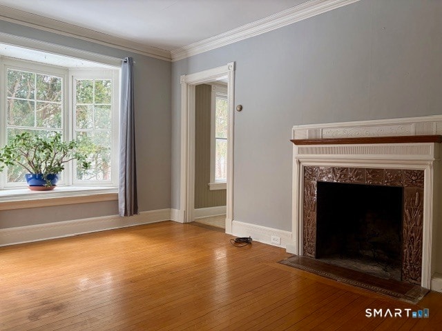 property at 41 Maple Ave