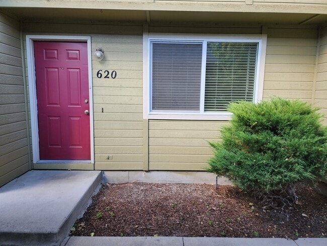 620 E Pennsylvania St in Boise, ID - Building Photo - Building Photo