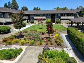 Latham Square in Mountain View, CA - Building Photo - Building Photo