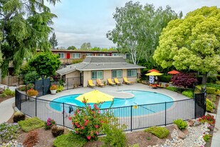 Tanglewood Apartments in San Jose, CA - Building Photo