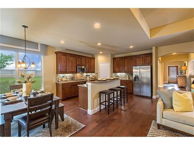 2709 Castle Creek Dr in Little Elm, TX - Building Photo - Building Photo
